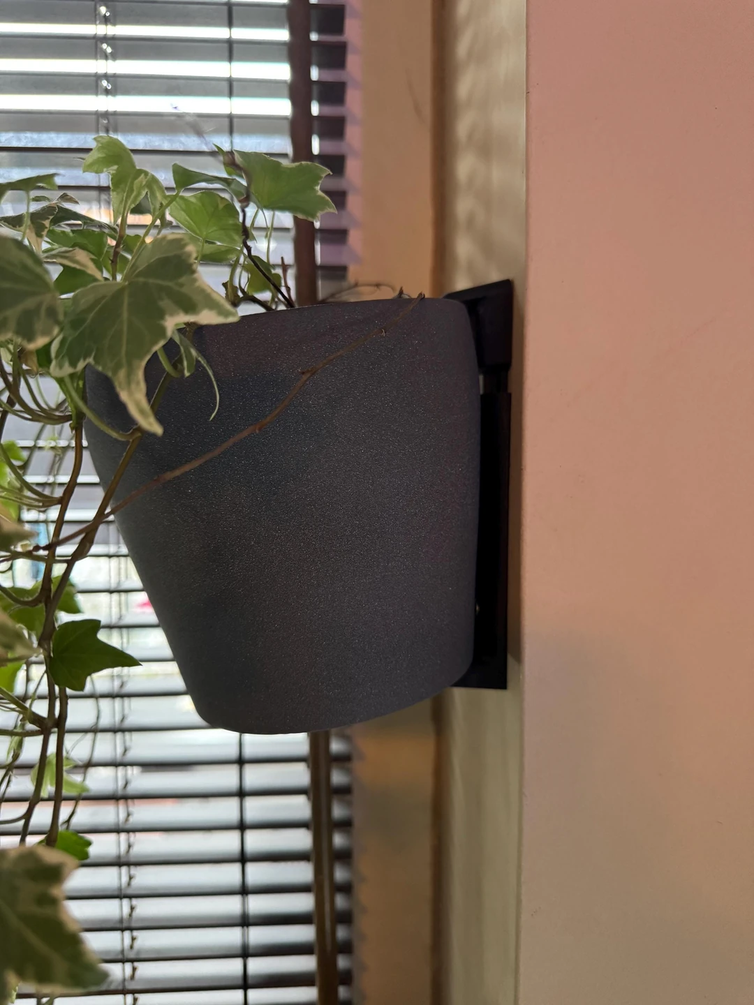 Dunkler Blumentopf mit grüner Pflanze an der Wand; die schwarze Halterung ist seitlich hinter dem Topf sichtbar